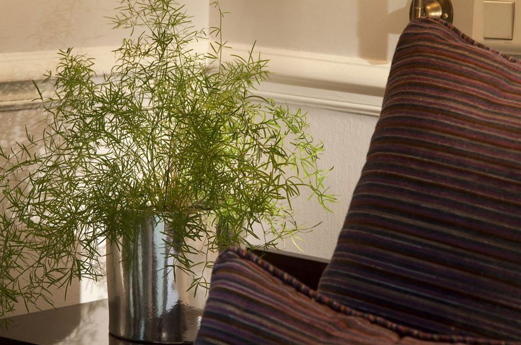 Pavillon Faubourg Saint-Germain & Spa Paris Rom bilde